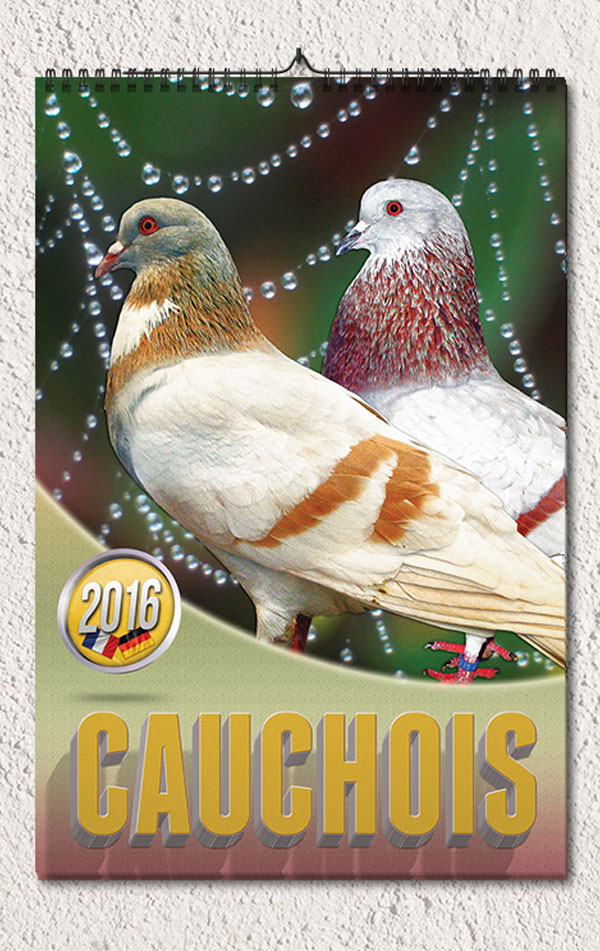 Bildkalender Cauchois